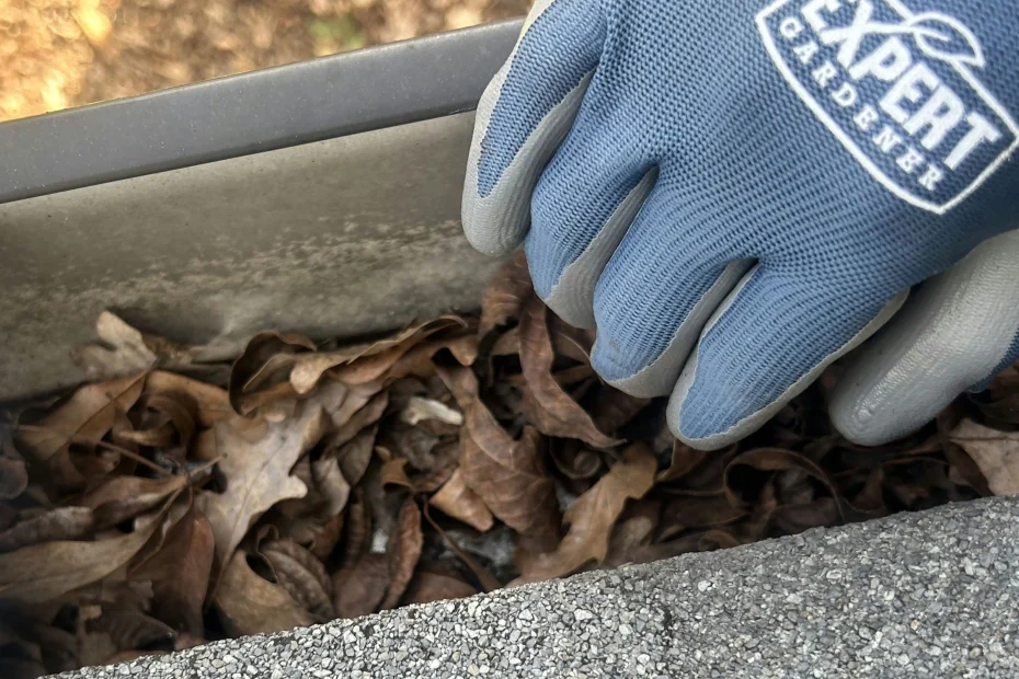 Gutter Cleaning Southside Place TX