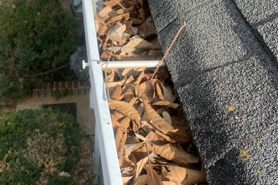 Gutter Cleaning Southside Place TX