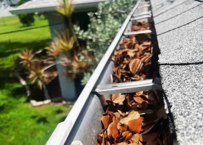 Gutter Cleaning Southside Place TX home page